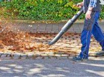 Der Herbst kommt